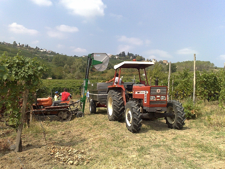 Trattore - Vini Colli Piacentini - Azienda Agricola Aradelli Vini - Ziano Piacentino Piacenza