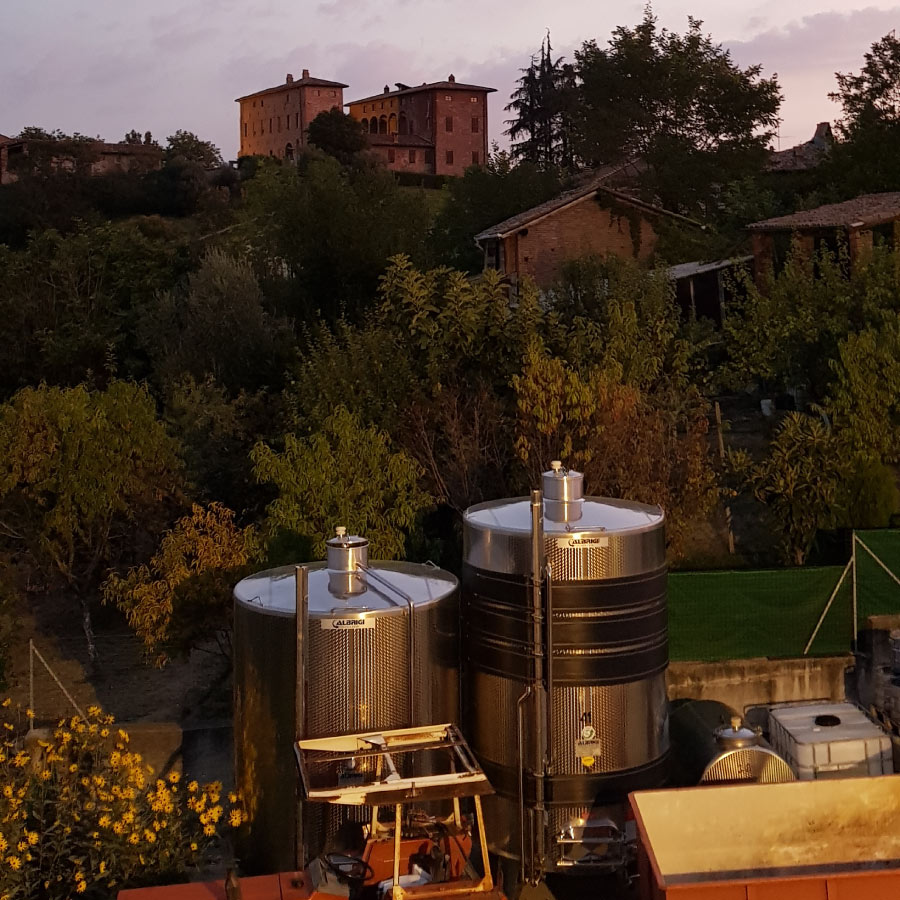 Azienda Agricola Aradelli Vini - Ziano Piacentino Piacenza