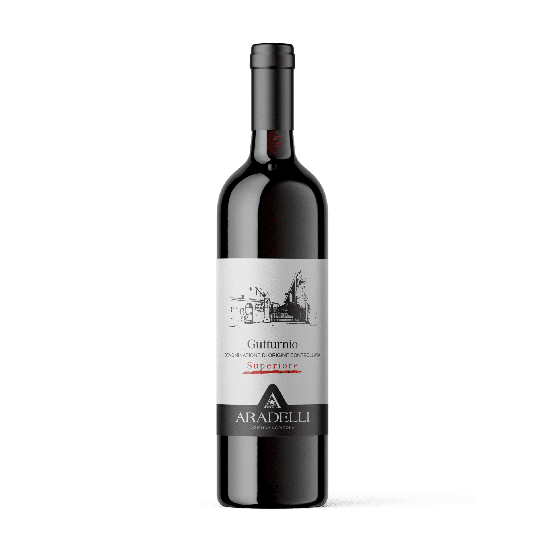 Gutturnio Superiore "Al Fittavul dal Prett"